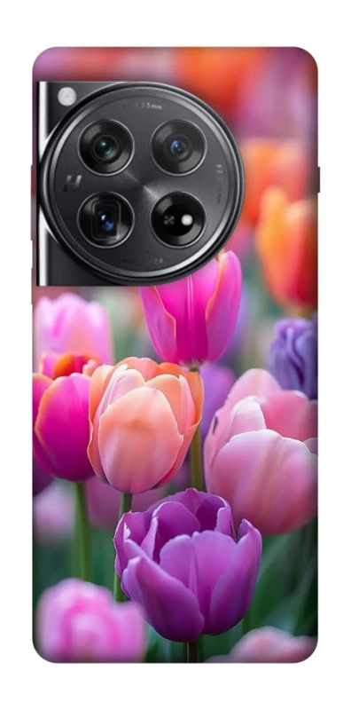 Чохол на OnePlus 12 Тюльпанове поле фото 1 з 1