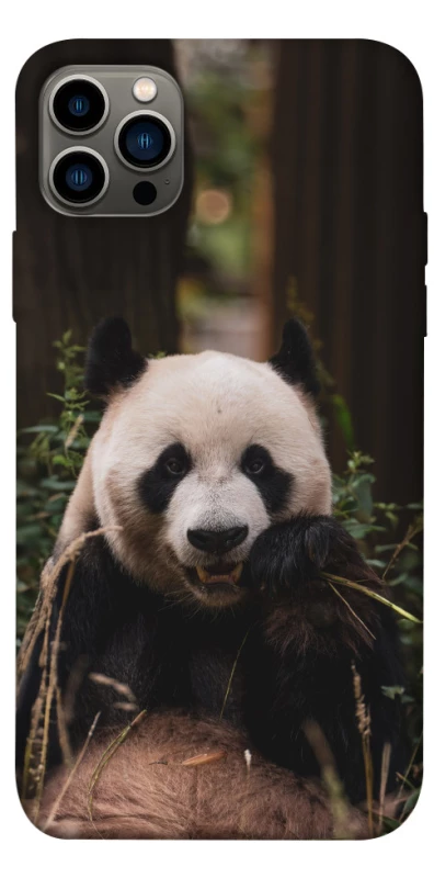 Чехол на Apple iPhone 12 Pro (6.1") Панда фото 1 из 1