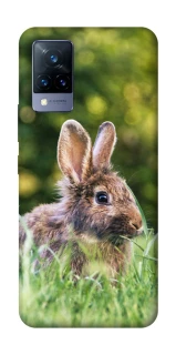 Чехол на Vivo V21 Кролики фото 1 из 1