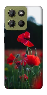 Чехол на Motorola Moto G15 4G Мак фото 1 из 1