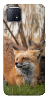 Чехол на Oppo A73 Лиса фото 1 из 1
