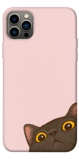 Чохол на Apple iPhone 12 Pro (6.1") Peeping cat фото 1 з 1