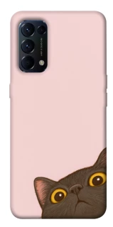 Чохол на Oppo Reno 5 4G Peeping cat фото 1 з 1