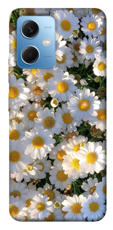 Чохол на Xiaomi Redmi Note 12 5G Поле ромашок фото 1 з 1