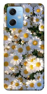 Чохол на Xiaomi Redmi Note 12 5G Поле ромашок фото 1 з 1
