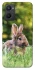 Чехол на Oppo A96 Кролики фото 1 из 1