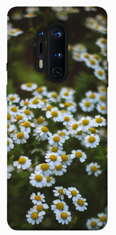 Чехол на OnePlus 8 Pro Ромашки v13 фото 1 из 1