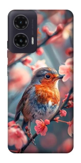 Чехол на Motorola Moto G35 Birdie фото 1 из 1