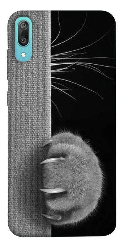 Чехол на Huawei Y6 Pro (2019) Spy Cat фото 1 из 1