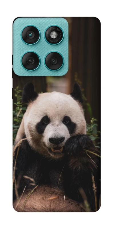 Чехол на Motorola Edge 60 Fusion Панда фото 1 из 1