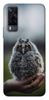 Чехол на Vivo Y31 Совёнок фото 1 из 1