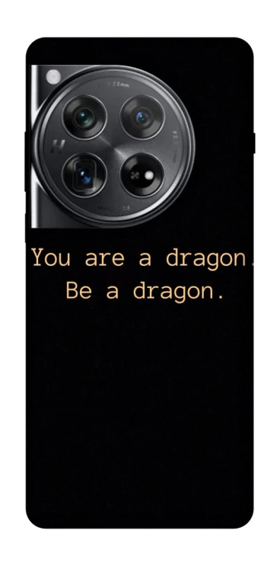 Чохол на OnePlus 12 House of the Dragon ver.9 фото 1 з 1