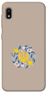 Чехол на Samsung Galaxy A10 (A105F) Герб v99 фото 1 из 1