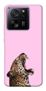 Чохол на Xiaomi 13T Leopard Meow фото 1 з 1