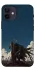 Чехол на Apple iPhone 12 mini (5.4") Berserk v22 фото 1 из 1
