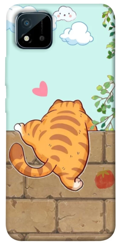 Чохол на Realme C11 (2021) Cat the meow фото 1 з 1