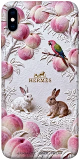 Чехол на Apple iPhone X (5.8") Hermes фото 1 из 1