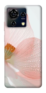 Чохол на ZTE Blade V50 Vita Flowers zon фото 1 Чохол на ZTE Blade V50 Vita Flowers zon фото 1 з 1