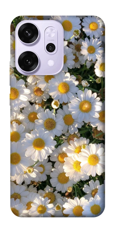 Чохол на Oppo Reno 14 Pro Поле ромашок фото 1 з 1
