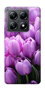 Чохол на Xiaomi 14T Pro Фіолетові тюльпани фото 1 з 1