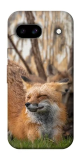 Чохол на Google Pixel 8a Лисиця фото 1 з 1