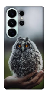 Чехол на Samsung Galaxy S26 Ultra Совёнок фото 1 из 1