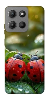 Чохол на Motorola Moto G15 Power Flowers v23 фото 1 з 1