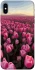 Чехол на Apple iPhone X (5.8") Spring Awakening фото 1 из 1