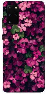 Чехол на Samsung Galaxy S20+ Flowers v7 фото 1 из 1