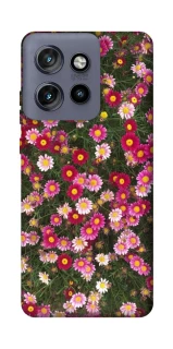Чехол на Motorola Edge 50 Neo Flowers v8 фото 1 из 1