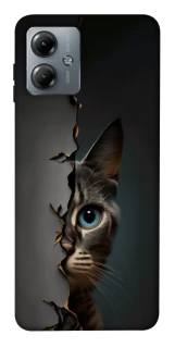 Чехол на Motorola Moto G14 Кот-подглядыватель v2 фото 1 из 1
