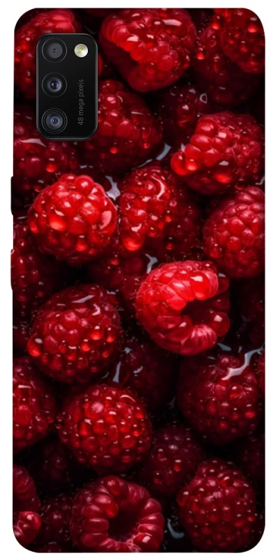 Чехол на Samsung Galaxy A41 Малинка фото 1 из 1