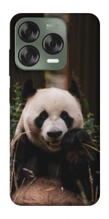 Чехол на ZTE Nubia V70 Design Панда фото 1 из 1