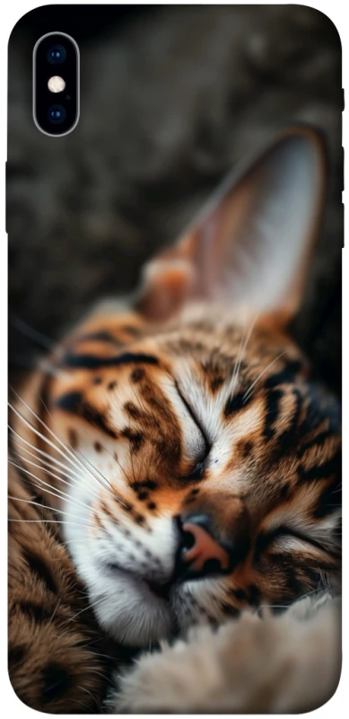 Чохол на Apple iPhone XS Max (6.5") Cat paws фото 1 з 1