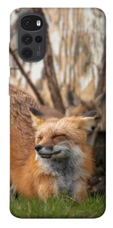 Чехол на Motorola Moto G22 Лиса фото 1 из 1