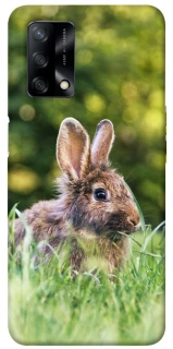 Чехол на Oppo A74 4G Кролики фото 1 из 1