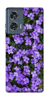 Чохол на Motorola Edge 50 Flowers v17 фото 1 з 1