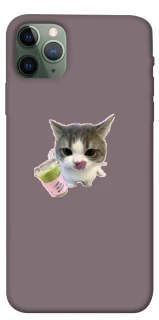 Чехол на Apple iPhone 11 Pro Max (6.5") cat matcha фото 1 из 1