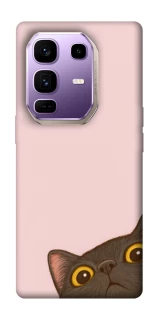 Чехол на Infinix Note 50 Pro+ Peeping cat фото 1 Чехол на Infinix Note 50 Pro+ Peeping cat фото 1 из 1