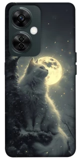 Чехол на OnePlus Nord CE 3 Lite Кот под луной фото 1 из 1
