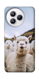 Чохол на Xiaomi Civi 5 Pro Лама фото 1 з 1