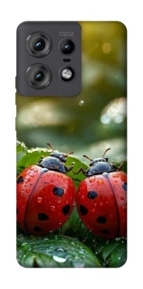 Чохол на Motorola Edge 50 Pro Flowers v23 фото 1 з 1