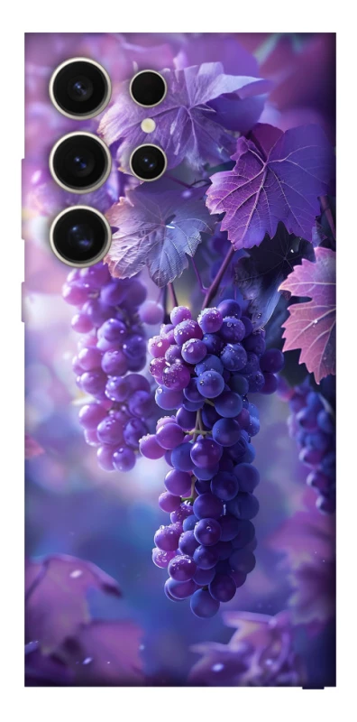 Чехол на Samsung Galaxy S25 Ultra Bunch of grapes фото 1 из 1
