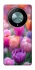 Чехол на Huawei Magic6 Lite Поле тюльпанов фото 1 из 1