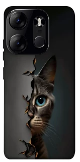 Чехол на Tecno Spark Go 2023 Кот-подглядыватель v2 фото 1 из 1