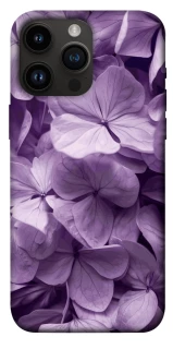 Чехол на Apple iPhone 14 Pro Max (6.7") Floral Symphony фото 1 из 1
