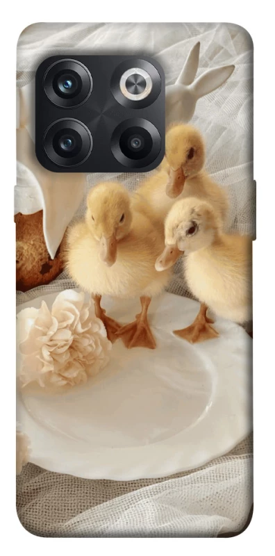 Чохол на OnePlus 10T Easter Vibes фото 1 з 1