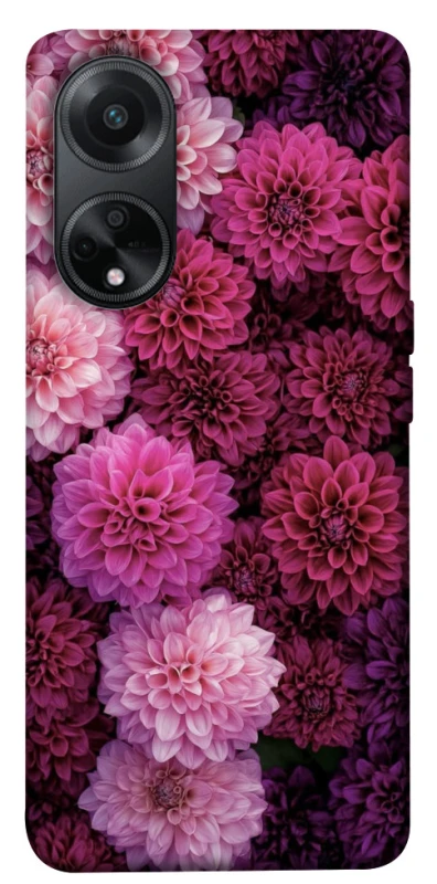 Чехол на Oppo A98 Garden1 фото 1 из 1