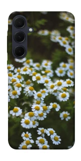 Чехол на Samsung Galaxy A35 Ромашки v13 фото 1 из 1