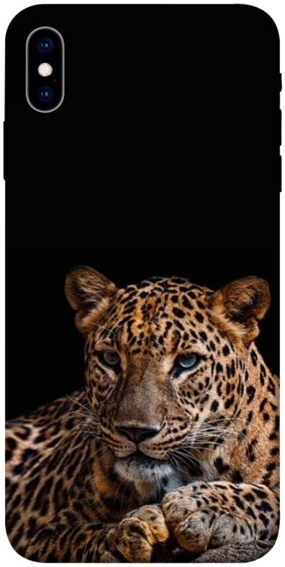 Чохол на Apple iPhone X (5.8") Leopard v4 фото 1 з 1